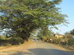Ubombo - Village (4)