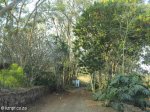 Ubombo - Village - Overwin Country Lodge (5)