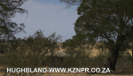 Rietvlei-Craigie-burn-Dam-resort-buildings-24