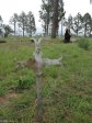 mooi-river-cemetary-3945-pte-haynes-2nd-lanc-fus