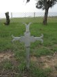 mooi-river-cemetary-6873-pte-g-bell-vol-coy-1st-yl-regt