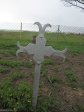 mooi-river-cemetary-79422-gunner-w-firman-1st-div-ammn-co-ra