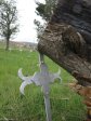 mooi-river-no-4-general-hospital-cemetary-illegible_2