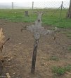mooi-river-no-4-general-hospital-cemetary-w-g-hann_