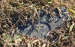 Mooi-River-St-Johns-grave-Vivian-Kirby-142