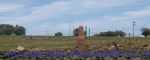 Mooi-River-motor-generation-plant-old-line-old-line-8