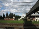 mooi-river-station-206-km-to-durban-s-29-12-28-e-29-59-50-elev-1387m-15