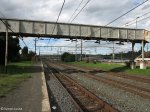 mooi-river-station-206-km-to-durban-s-29-12-28-e-29-59-50-elev-1387m-9