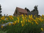 mooi-river-weston-st-johns-anglican-church-building-s-29-12-631-e-30-01-244-elev-1378m-72