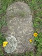 mooi-river-weston-st-johns-anglican-church-graves-s-29-12-631-e-30-01-244-11