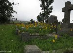 mooi-river-weston-st-johns-anglican-church-graves-s-29-12-631-e-30-01-244-8