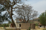 Moorleigh Lutheran Church Manse for Johanneskirche (8)