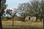 Moorleigh Lutheran Church Manse for Johanneskirche (9)