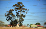 Moorleigh-main-line-station-7