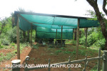 Mount-Alice-lecture-theatre
