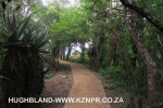 Spionkop-Mount-Alice-Monument-approach-to-summit-1