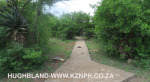 Spionkop-Mount-Alice-Monument-approach-to-summit-2
