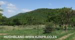 Spionkop-Mount-Alice-from-Woodlands-farm