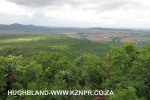 Spionkop-Mount-Alice-views-of-Spionkop-and-Vaalkrans-2