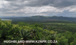 Spionkop-Mount-Alice-views-of-Spionkop-and-Vaalkrans-6