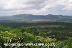 Spionkop-Mount-Alice-views-of-Spionkop-and-Vaalkrans-8