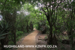 Spionkop-approach-to-Mount-Alice-summit