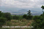 The-road-up-to-Mount-Alice-Spionkop-Winterton-direction-4