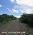 The-road-up-to-Mount-Alice-Spionkop-south-approach-1