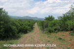 The-road-up-to-Mount-Alice-Spionkop-south-approach-11