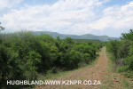The-road-up-to-Mount-Alice-Spionkop-south-approach-12