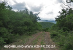 The-road-up-to-Mount-Alice-Spionkop-south-approach-5