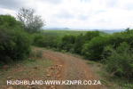 The-road-up-to-Mount-Alice-Spionkop-south-approach-8