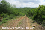 The-road-up-to-Mount-Alice-Spionkop-south-approach-9