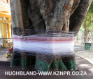 Shri-Mariammen-Temple-Mount-Edgecombe-5