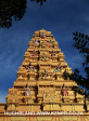 Shri-Mariammen-Temple-Mount-Edgecombe-detail31