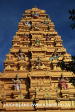 Shri-Mariammen-Temple-Mount-Edgecombe-detail32