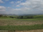 stead-general-cemetery-views-1