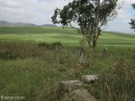 stead-general-cemetery-views-2