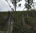 stead-william-vernon-milne-died-1928-2