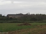 mtuba-mfolosi-mill-mill-road-s-28-26-31-e-32-10-56-elev-42m-3