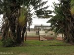 mtuba-mfolosi-mill-mill-road-s-28-26-31-e-32-10-56-elev-42m-8