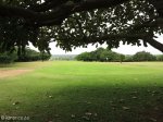 mtuba-umfolozi-country-club-s-28-26-28-e-32-10-32-elev-67m-5