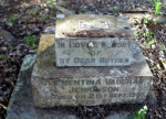 Mtunzini Cemetery - Grave - Clementina Jenkinson 1938