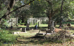 Mtunzini Cemetery - Grave - overall views (3)