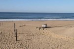 Mtunzini - Boardwalk & Beach views  (1)