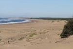 Mtunzini - Boardwalk & Beach views  (10)