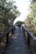 Mtunzini - Boardwalk & Beach views  (3)