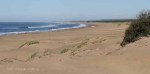 Mtunzini - Boardwalk & Beach views  (6)