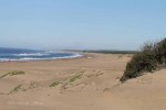 Mtunzini - Boardwalk & Beach views  (7)