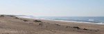Mtunzini - Boardwalk & Beach views  (9)